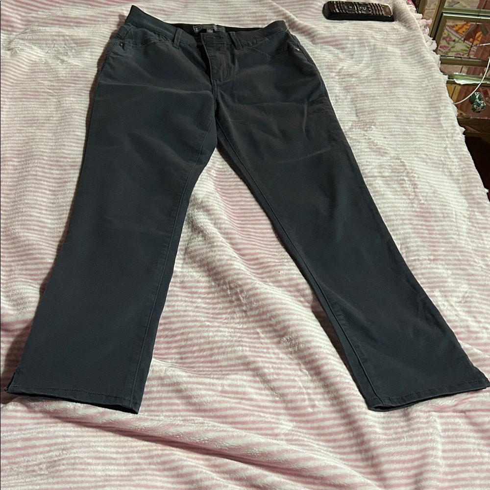 Wit & Wisdom NWOT Stretch Dark Gray Pants Size 0
